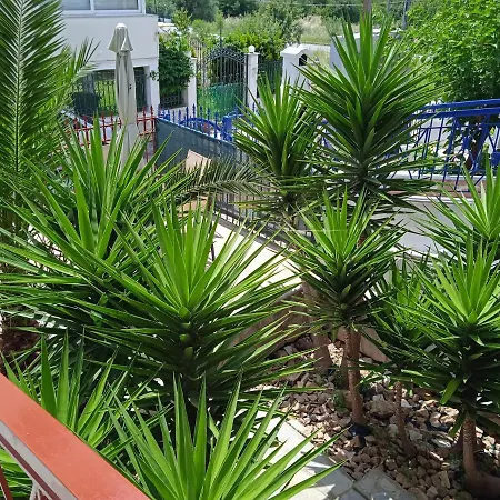Blue Moon Apartments Nea Michaniona Exterior photo